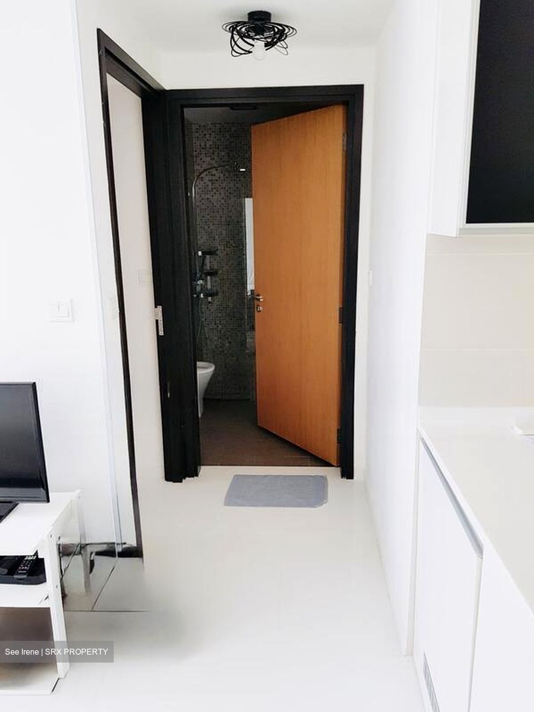 Loft @ Stevens (D10), Apartment #587773851